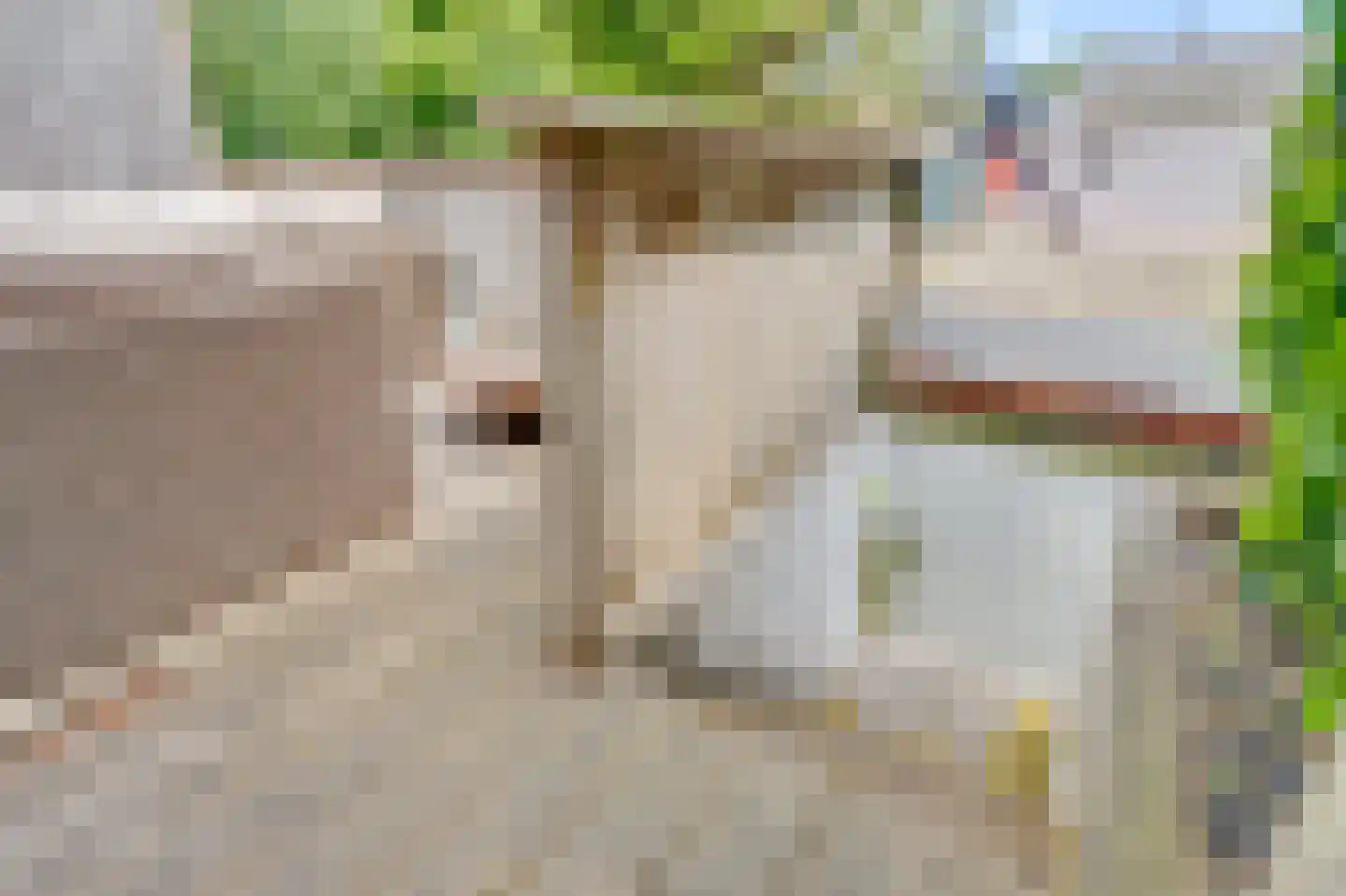Deltastraat 17 Alkmaar thumbnail 27