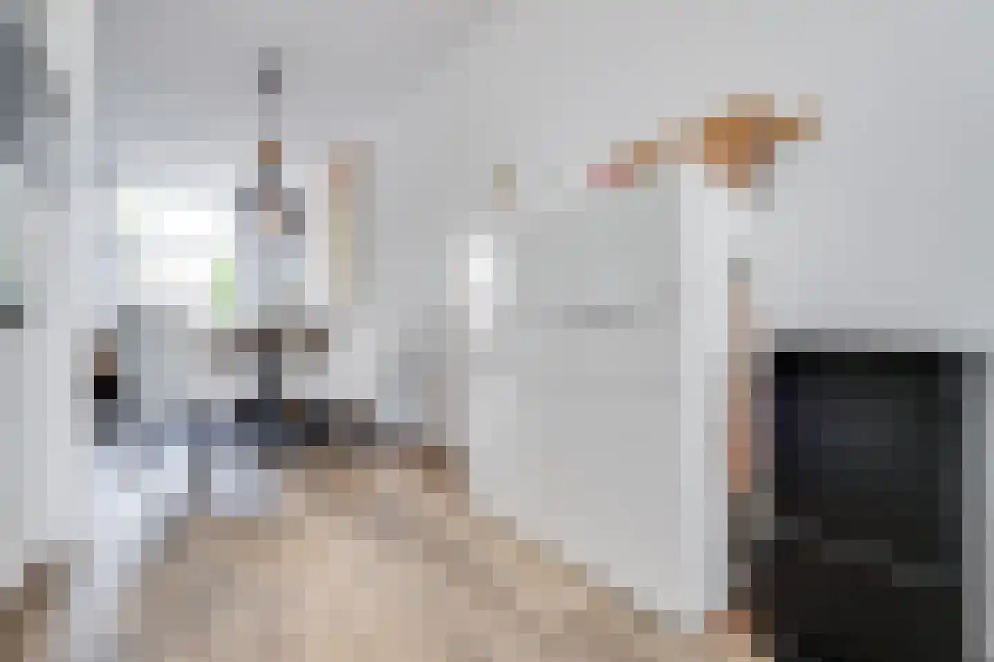 Deltastraat 17 Alkmaar thumbnail 8