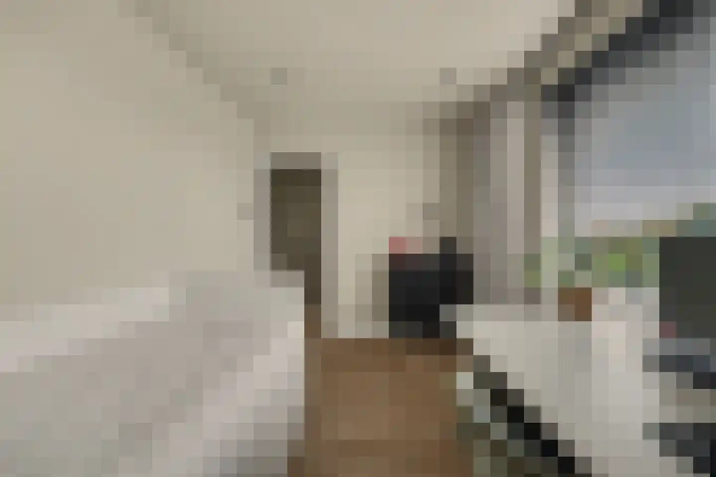 Deltastraat 17 Colijnsplaat thumbnail 26