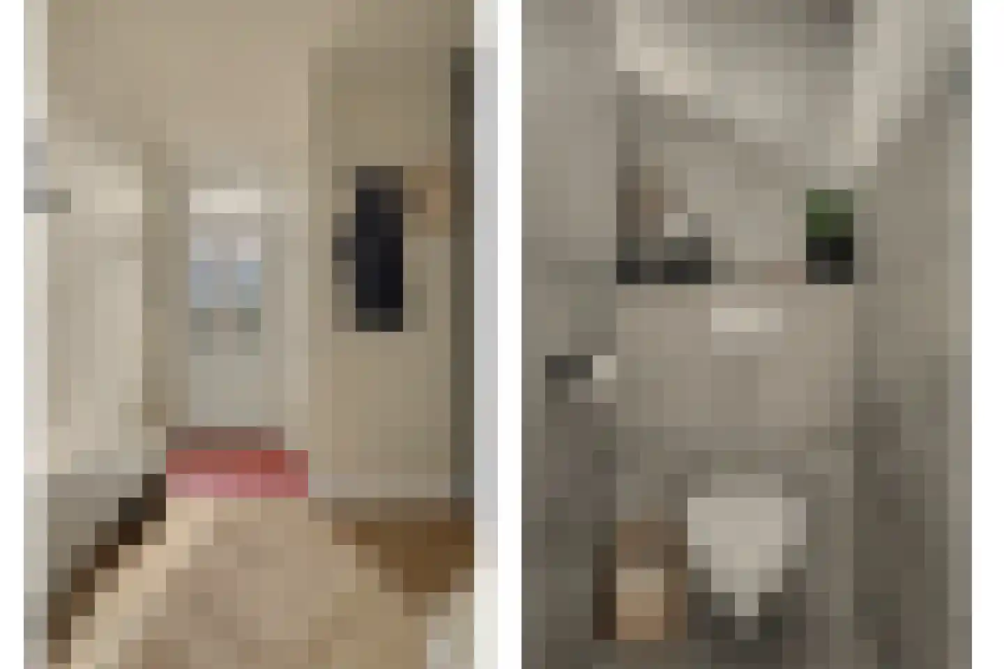Deltastraat 17 Colijnsplaat thumbnail 6