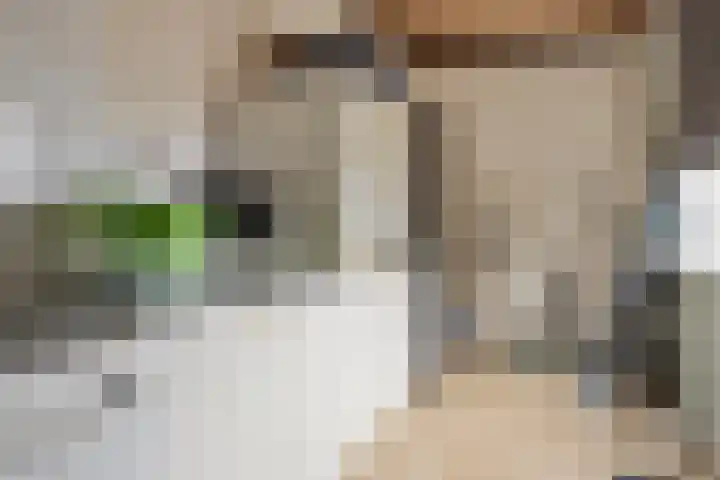 Deltastraat 19 Hoofdplaat thumbnail 12
