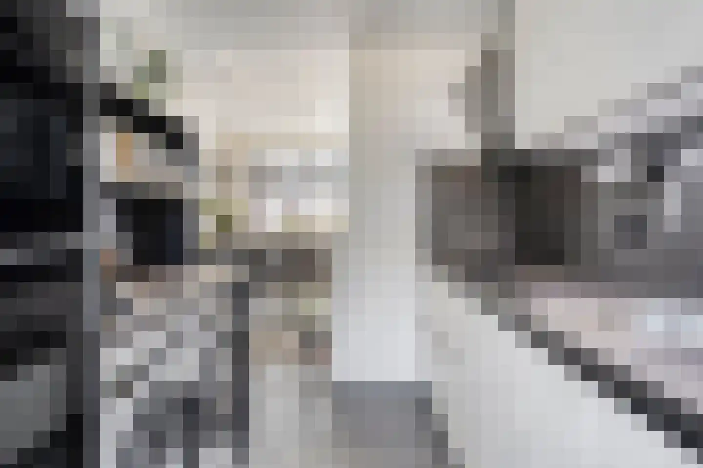 Deltastraat 19 Lewedorp thumbnail 10
