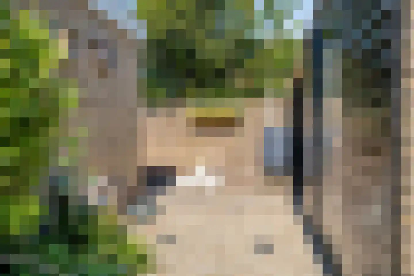 Deltastraat 19 Lewedorp thumbnail 27