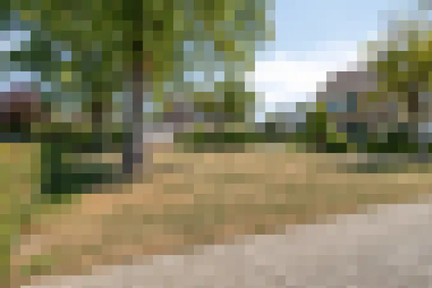Deltastraat 19 Lewedorp thumbnail 31
