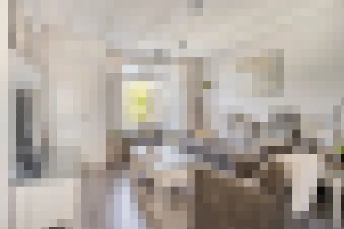 Deltastraat 19 Lewedorp thumbnail 5