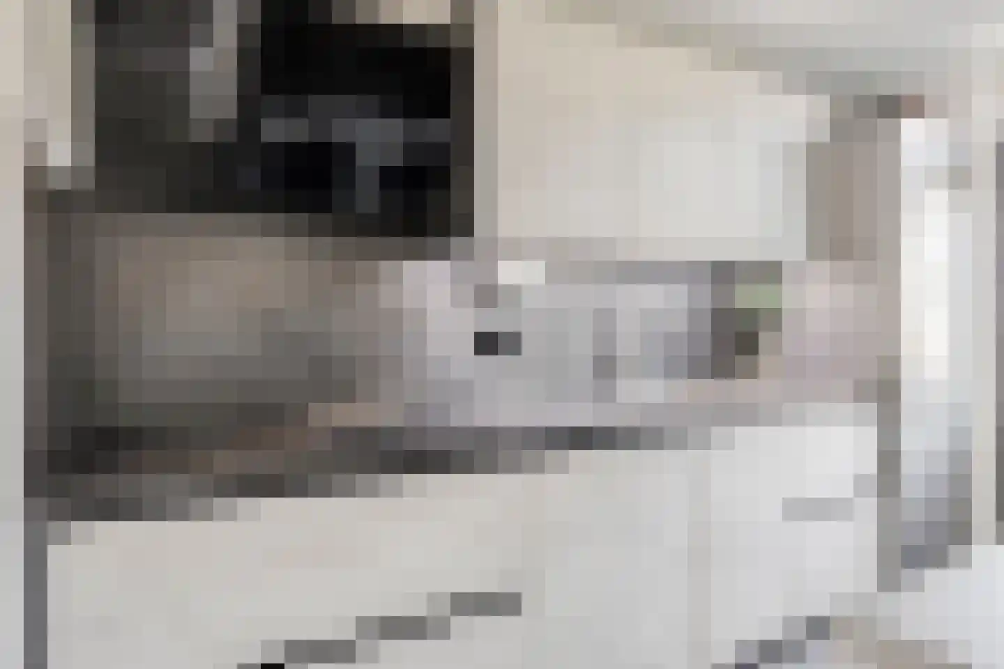 Deltastraat 19 Lewedorp thumbnail 8