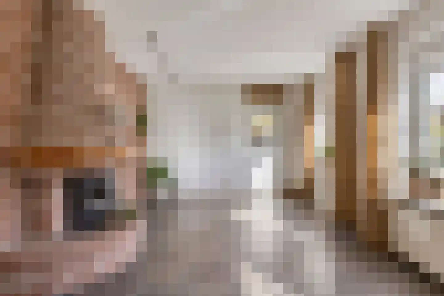 Deltastraat 20 Nieuwerkerk thumbnail 21