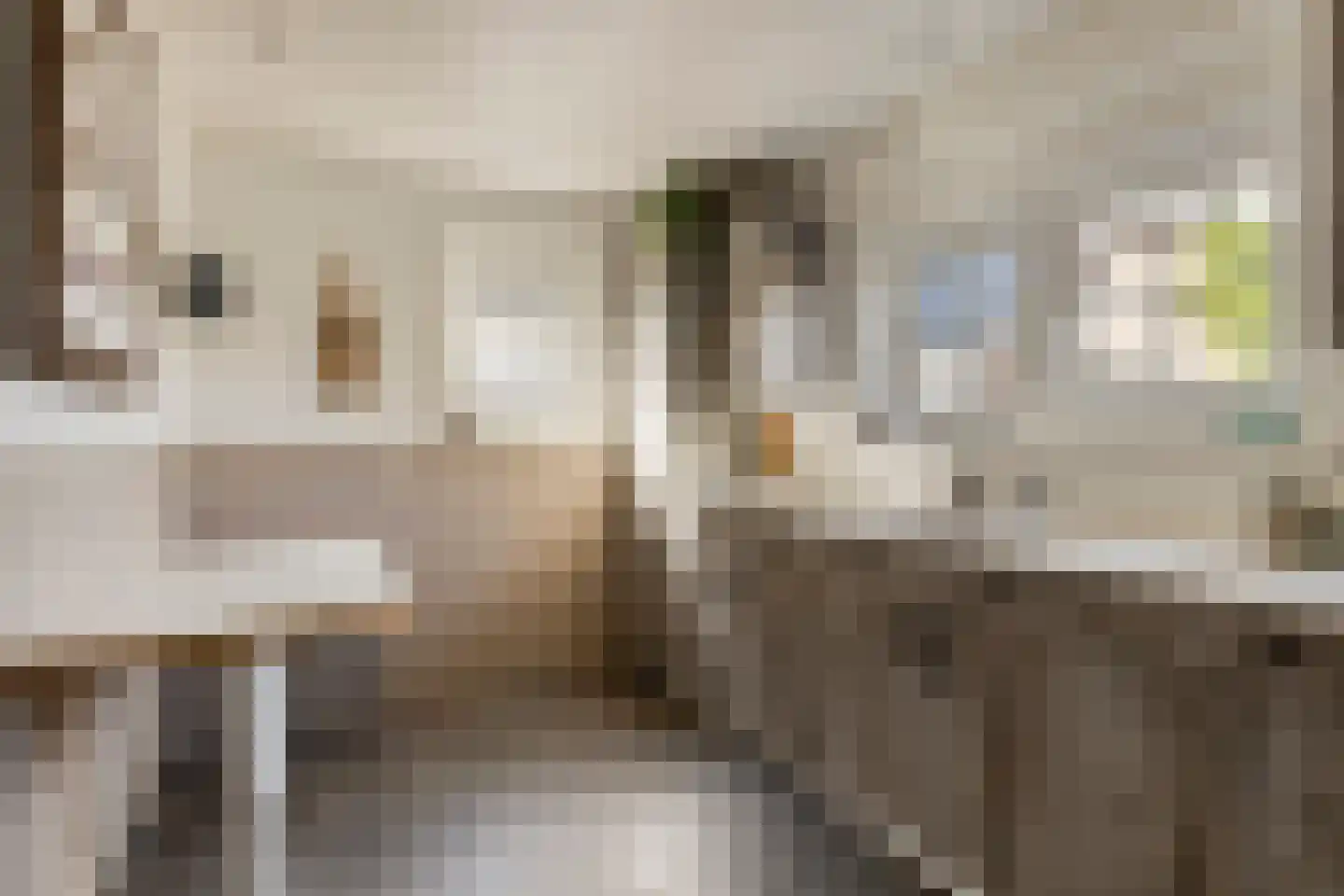 Deltastraat 20 Nieuwerkerk thumbnail 28