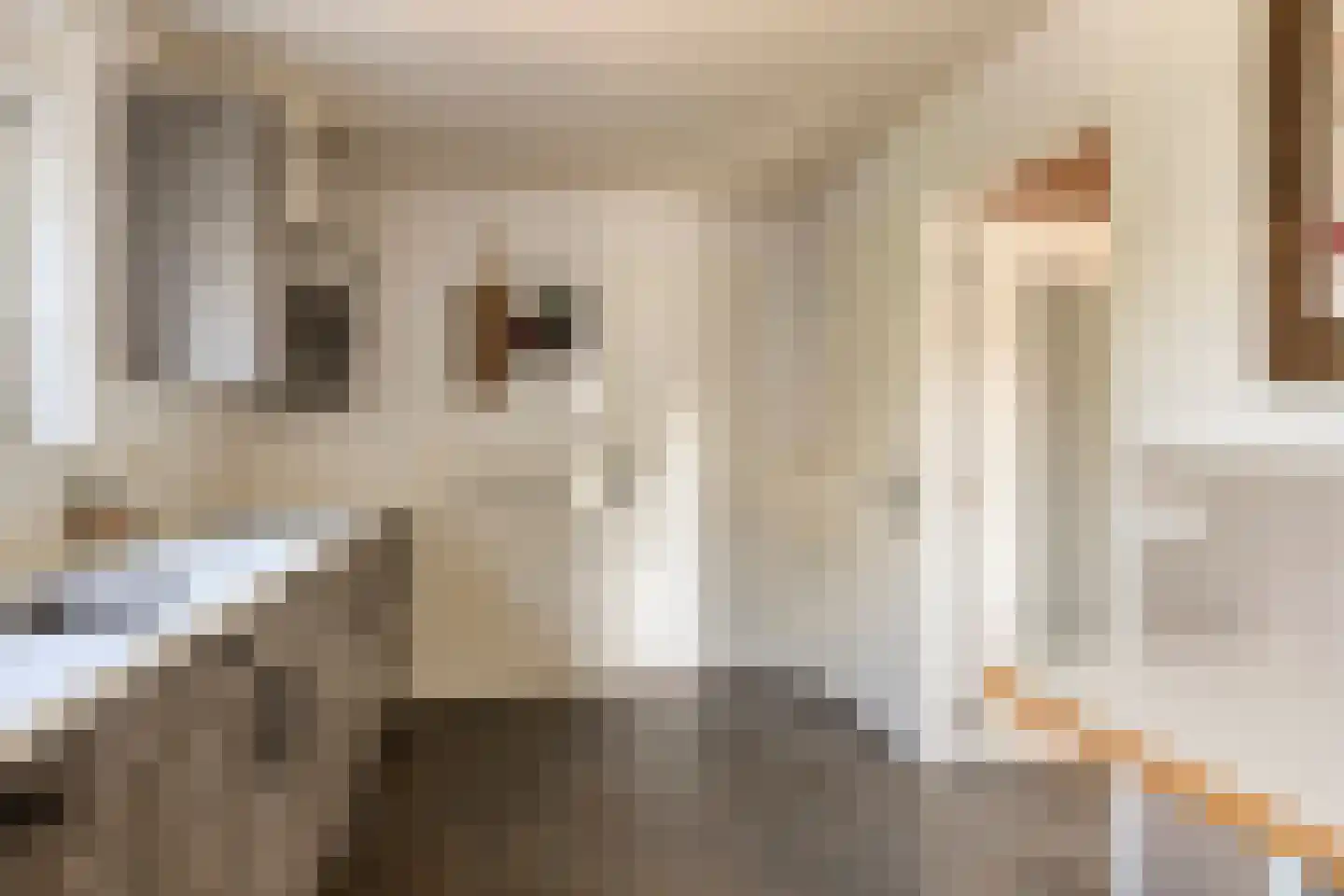 Deltastraat 20 Nieuwerkerk thumbnail 30