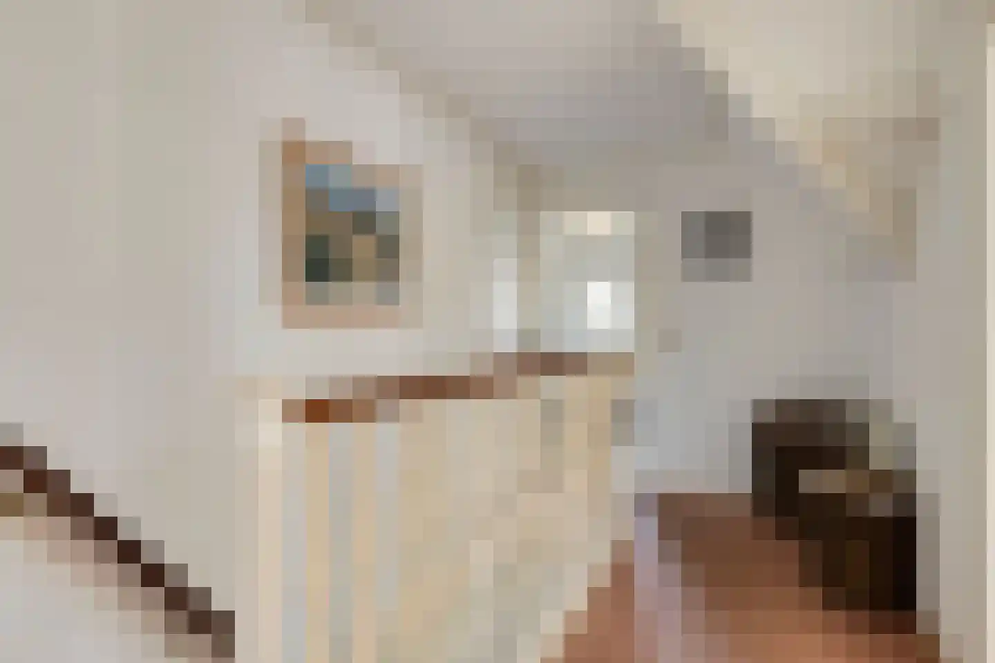 Deltastraat 20 Nieuwerkerk thumbnail 37