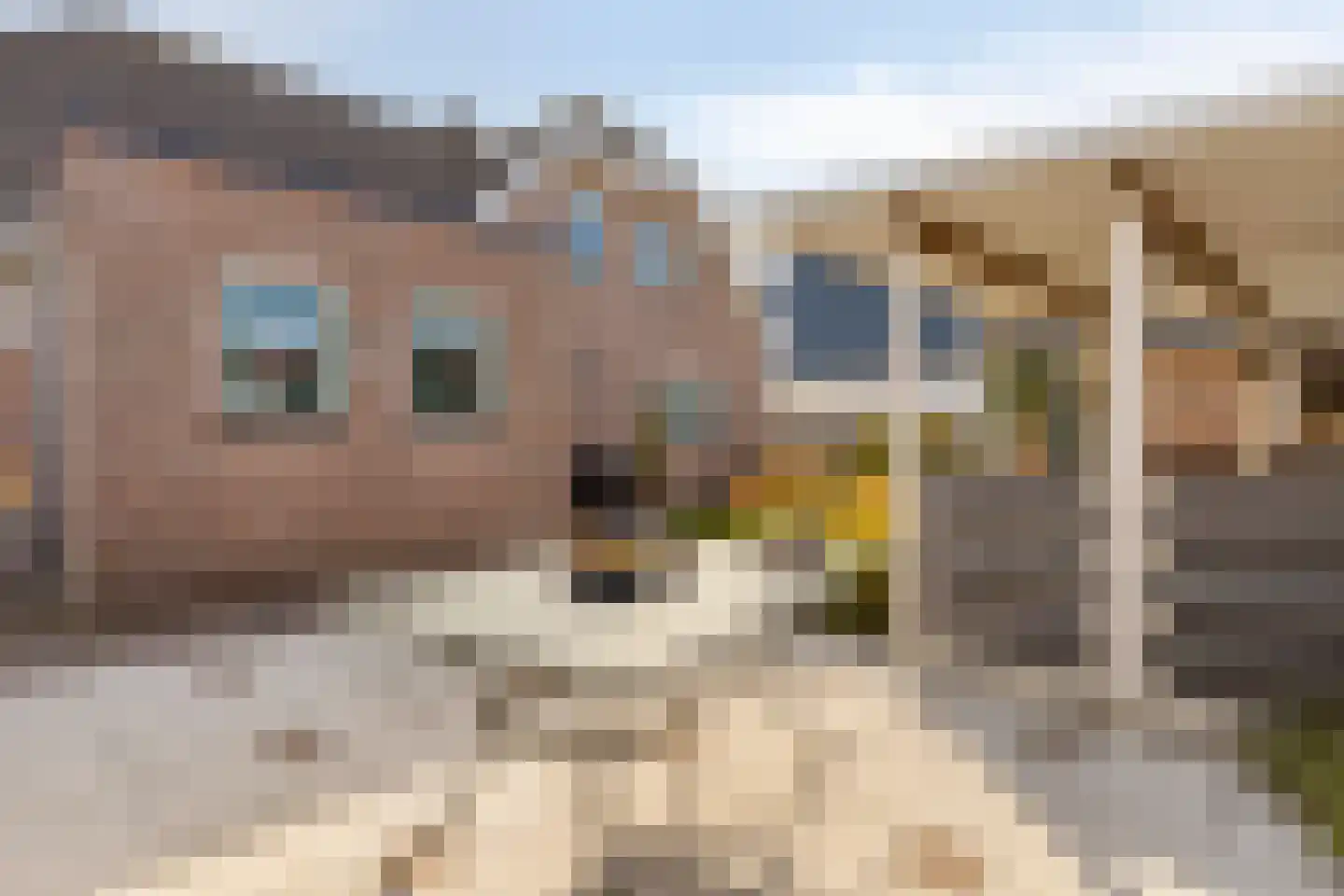 Deltastraat 20 Nieuwerkerk thumbnail 55