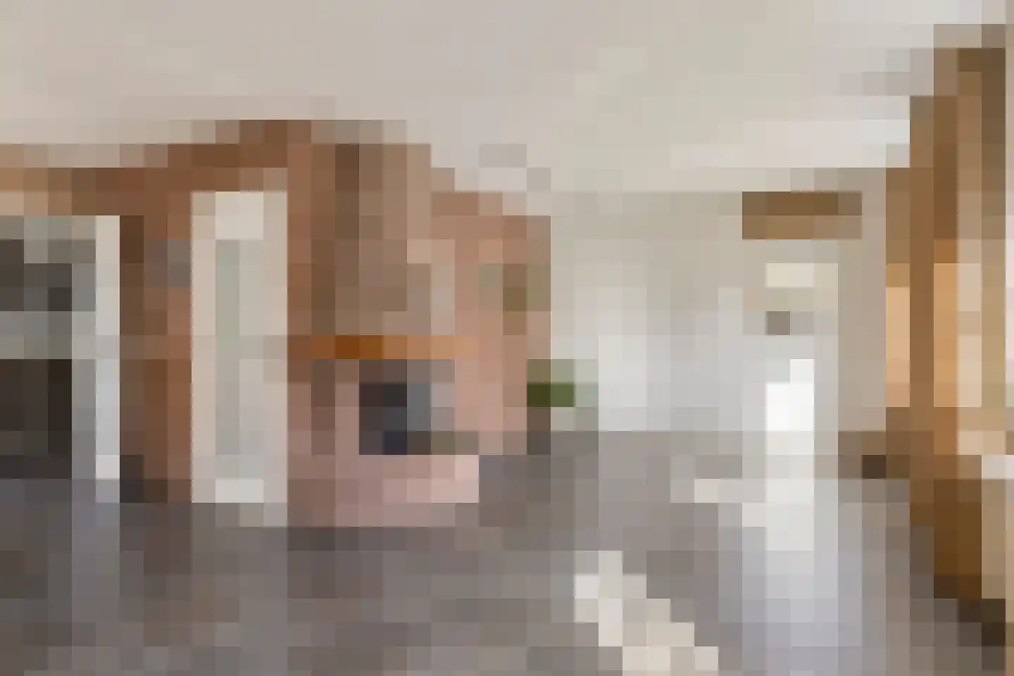 Deltastraat 20 Nieuwerkerk thumbnail 6
