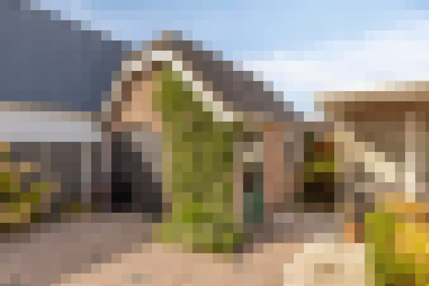 Deltastraat 20 Nieuwerkerk thumbnail 61