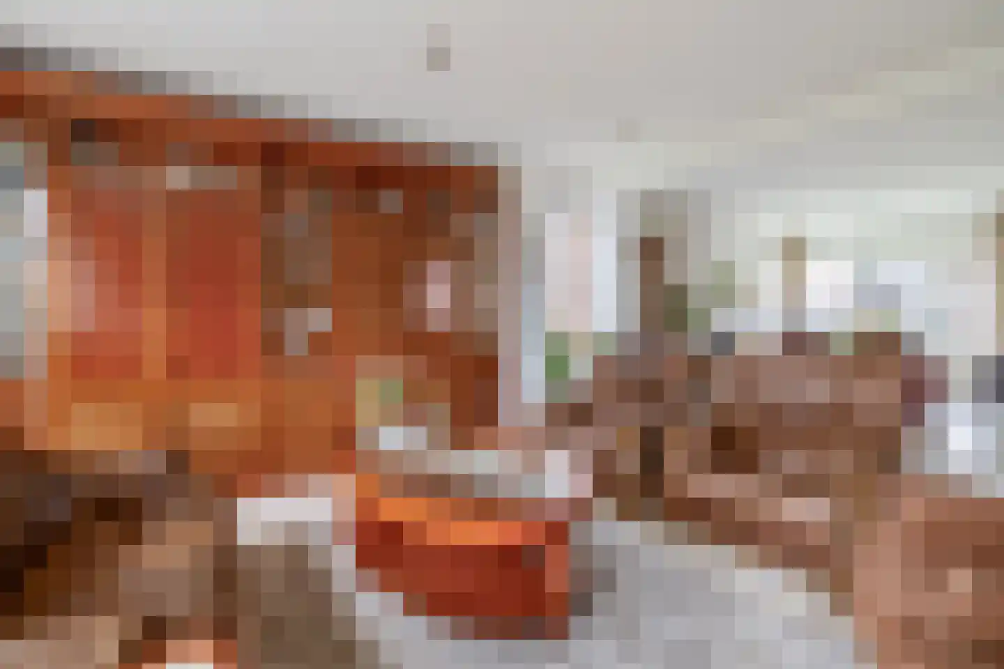 Deltastraat 4 Scharendijke thumbnail 12