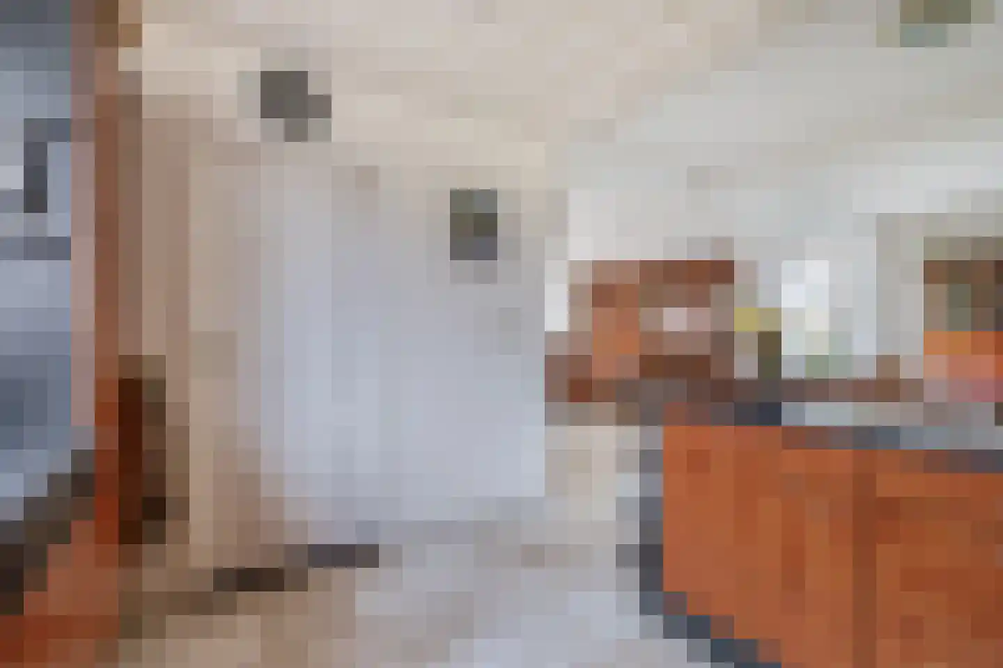 Deltastraat 4 Scharendijke thumbnail 15
