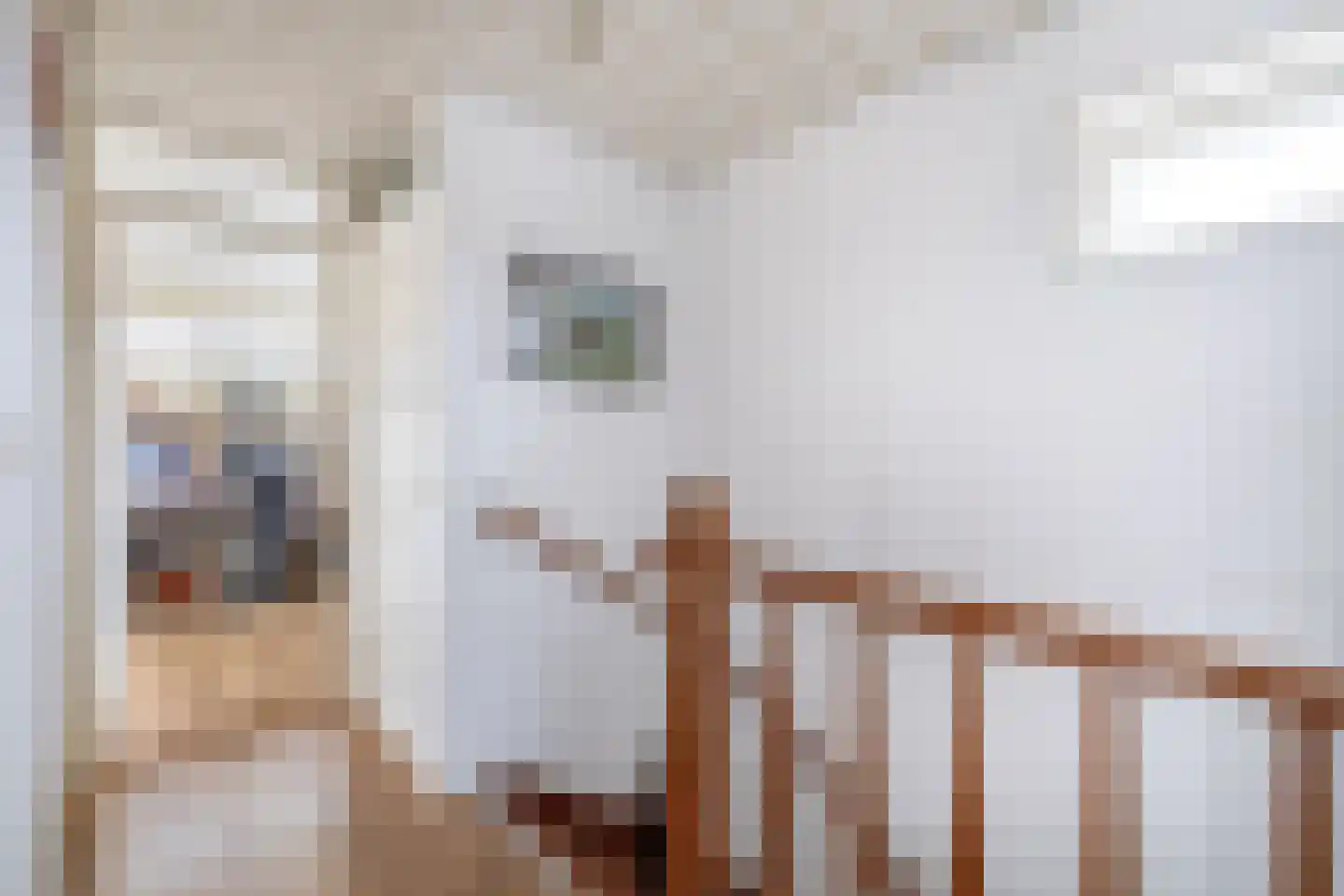 Deltastraat 4 Scharendijke thumbnail 19