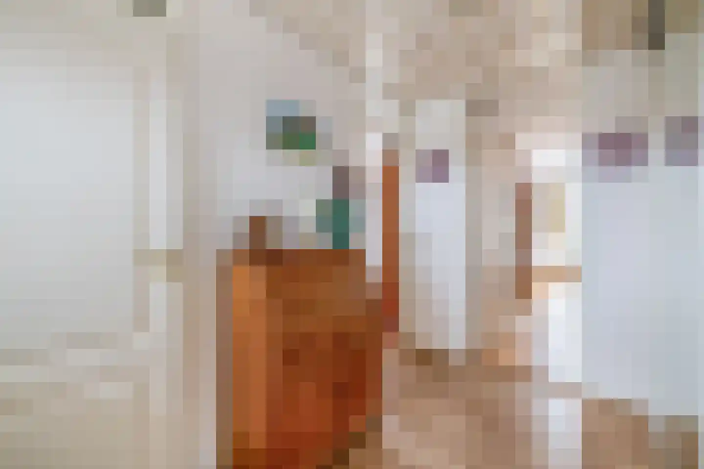 Deltastraat 4 Scharendijke thumbnail 21