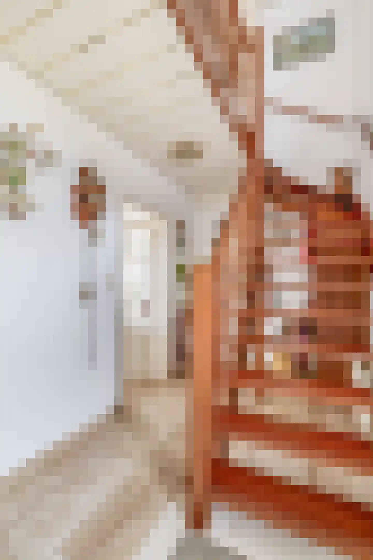 Deltastraat 4 Scharendijke thumbnail 21