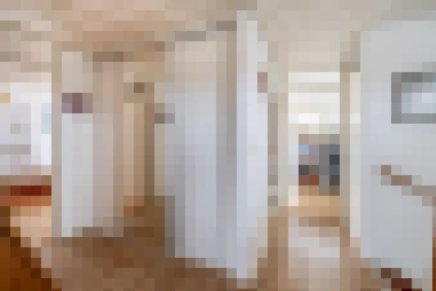 Deltastraat 4 Scharendijke thumbnail 22