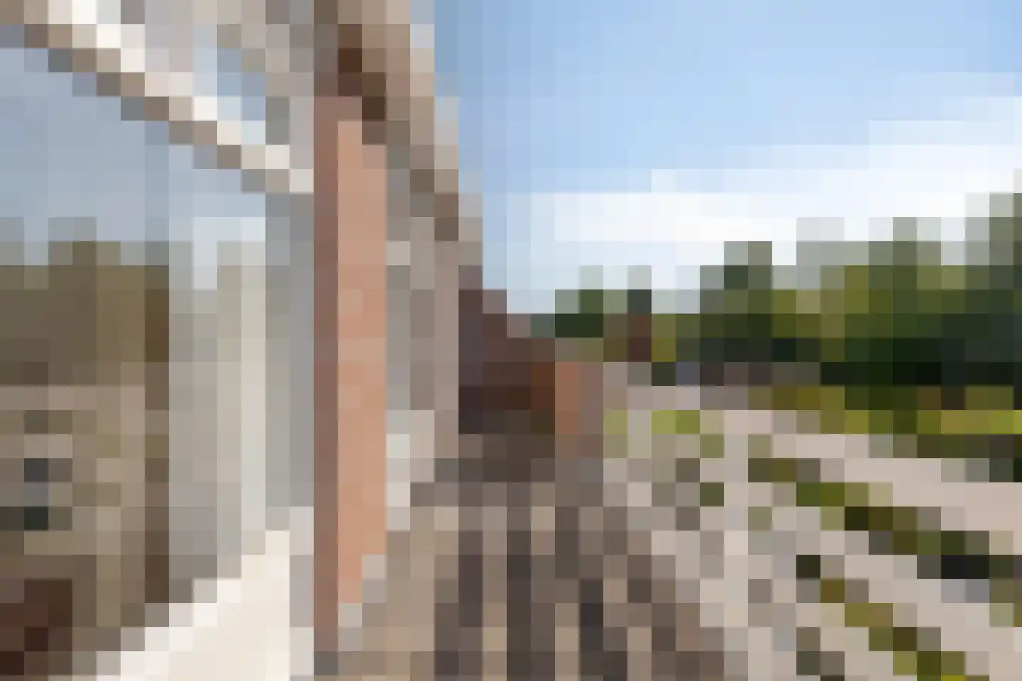 Deltastraat 4 Scharendijke thumbnail 25