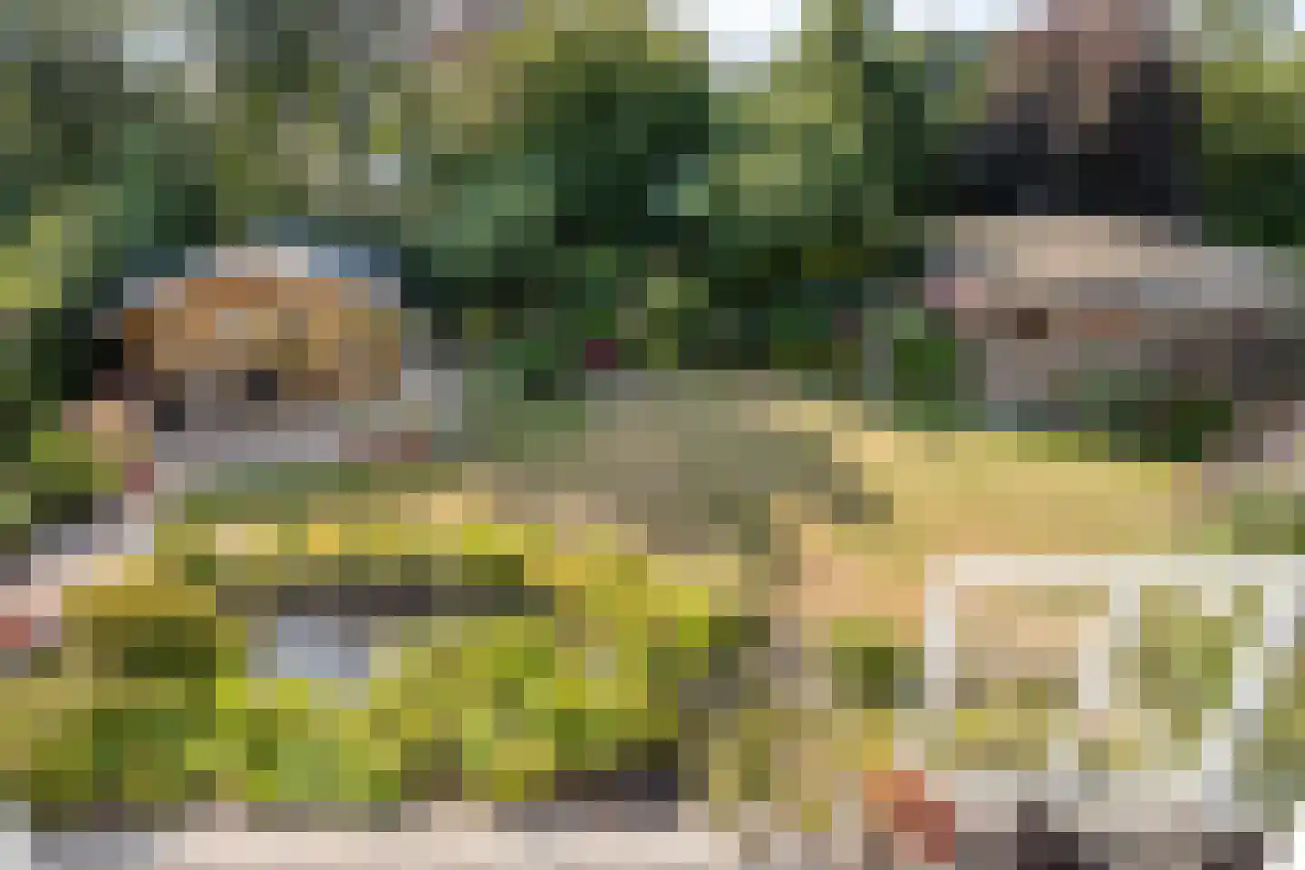 Deltastraat 4 Scharendijke thumbnail 26