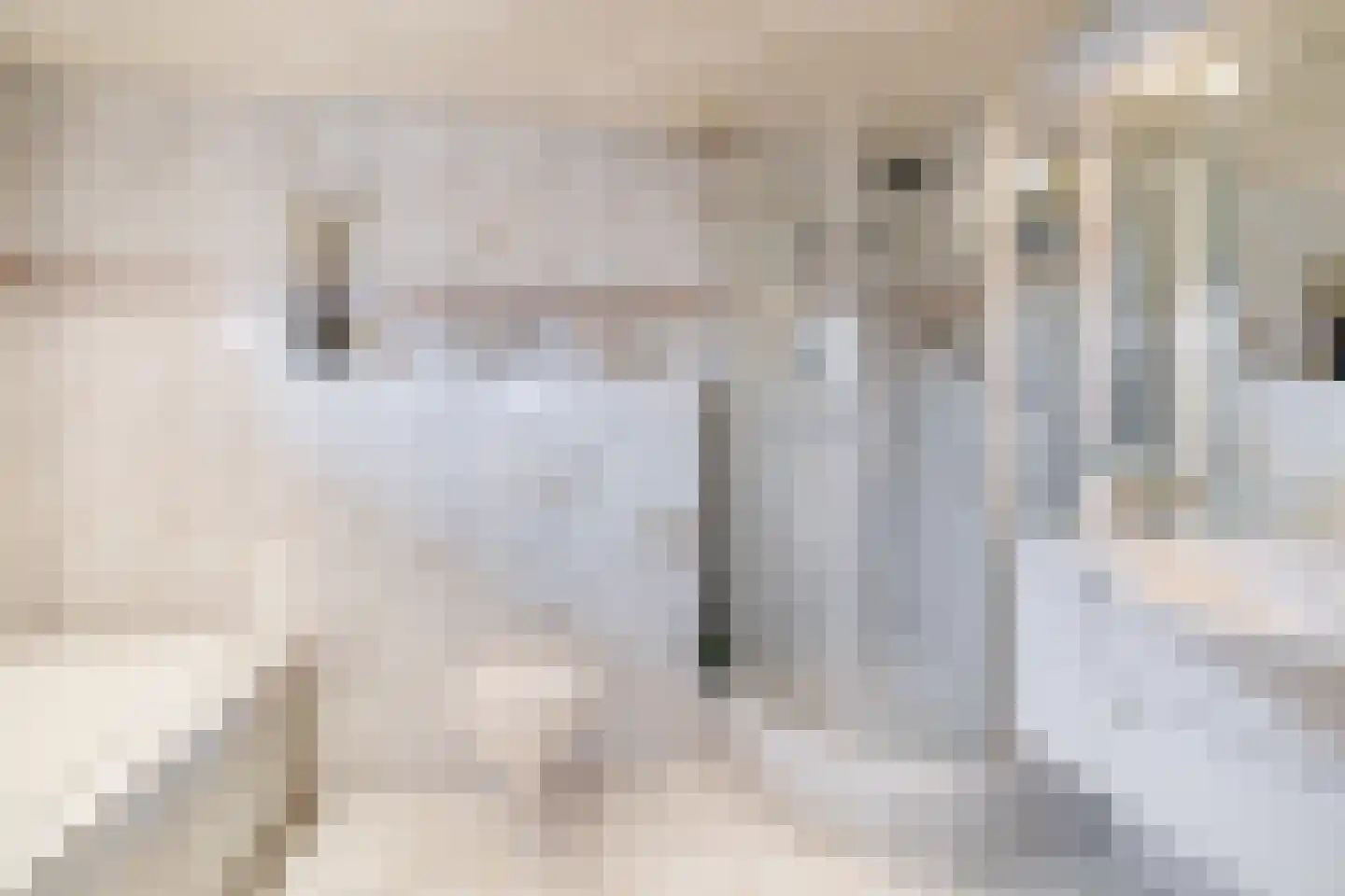 Deltastraat 4 Scharendijke thumbnail 29