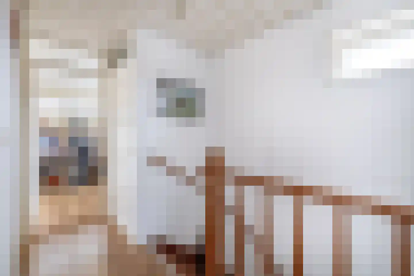 Deltastraat 4 Scharendijke thumbnail 34