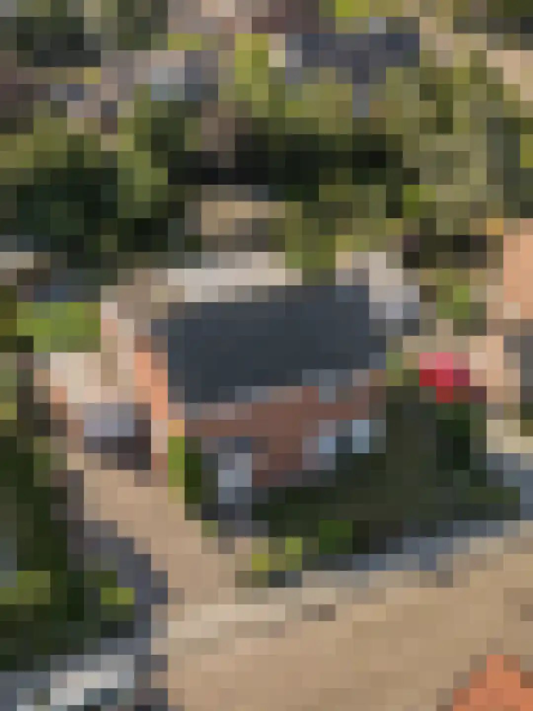 Deltastraat 4 Scharendijke thumbnail 37