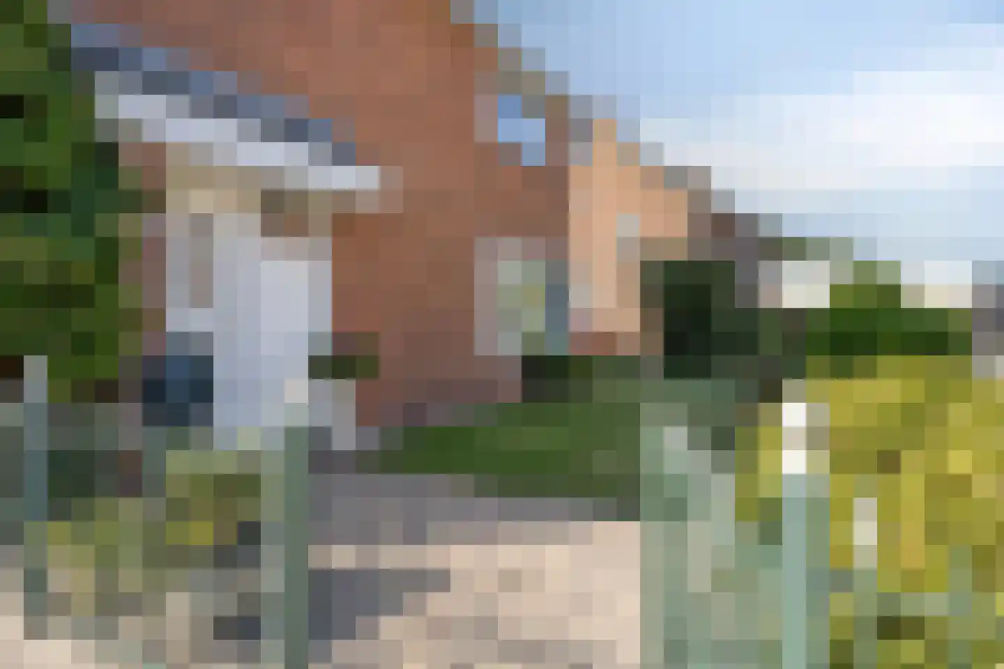 Deltastraat 4 Scharendijke thumbnail 38