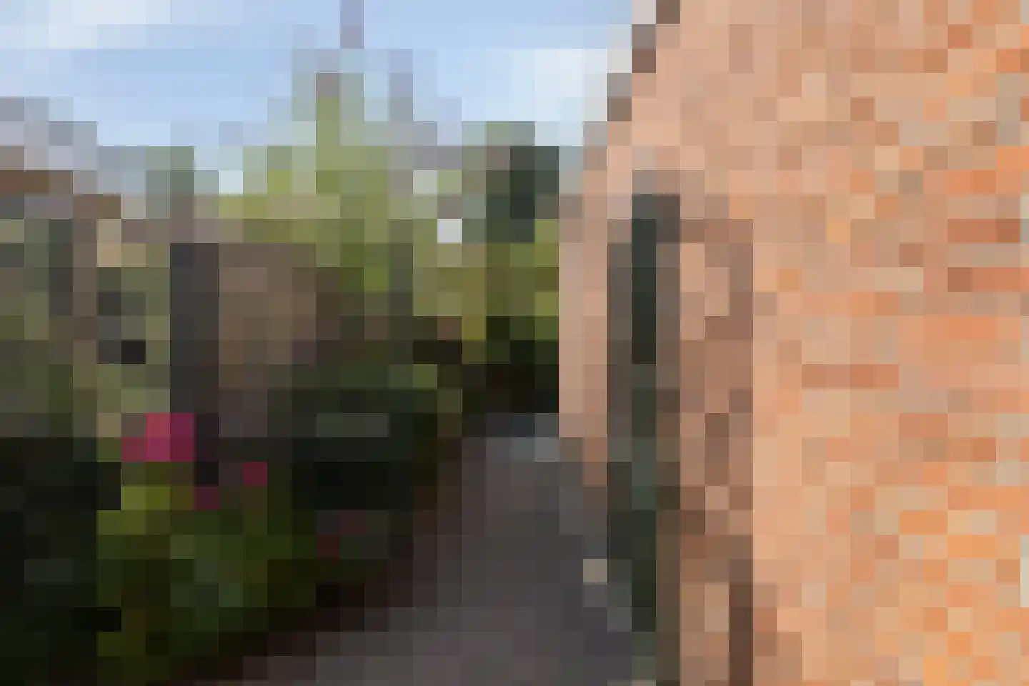 Deltastraat 4 Scharendijke thumbnail 39