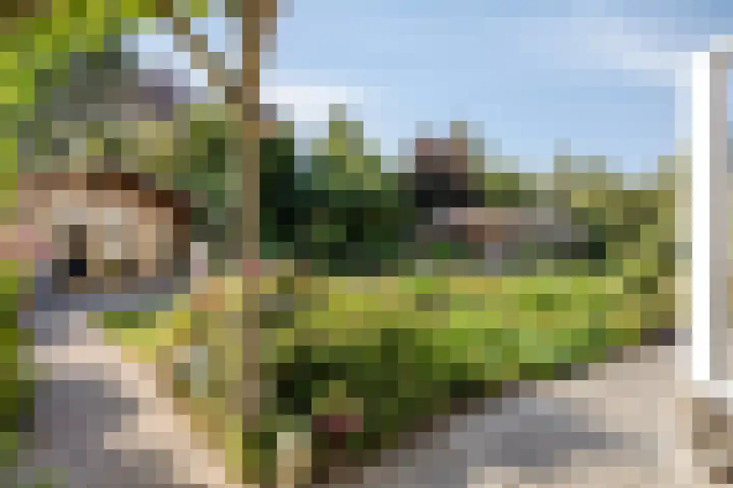 Deltastraat 4 Scharendijke thumbnail 43