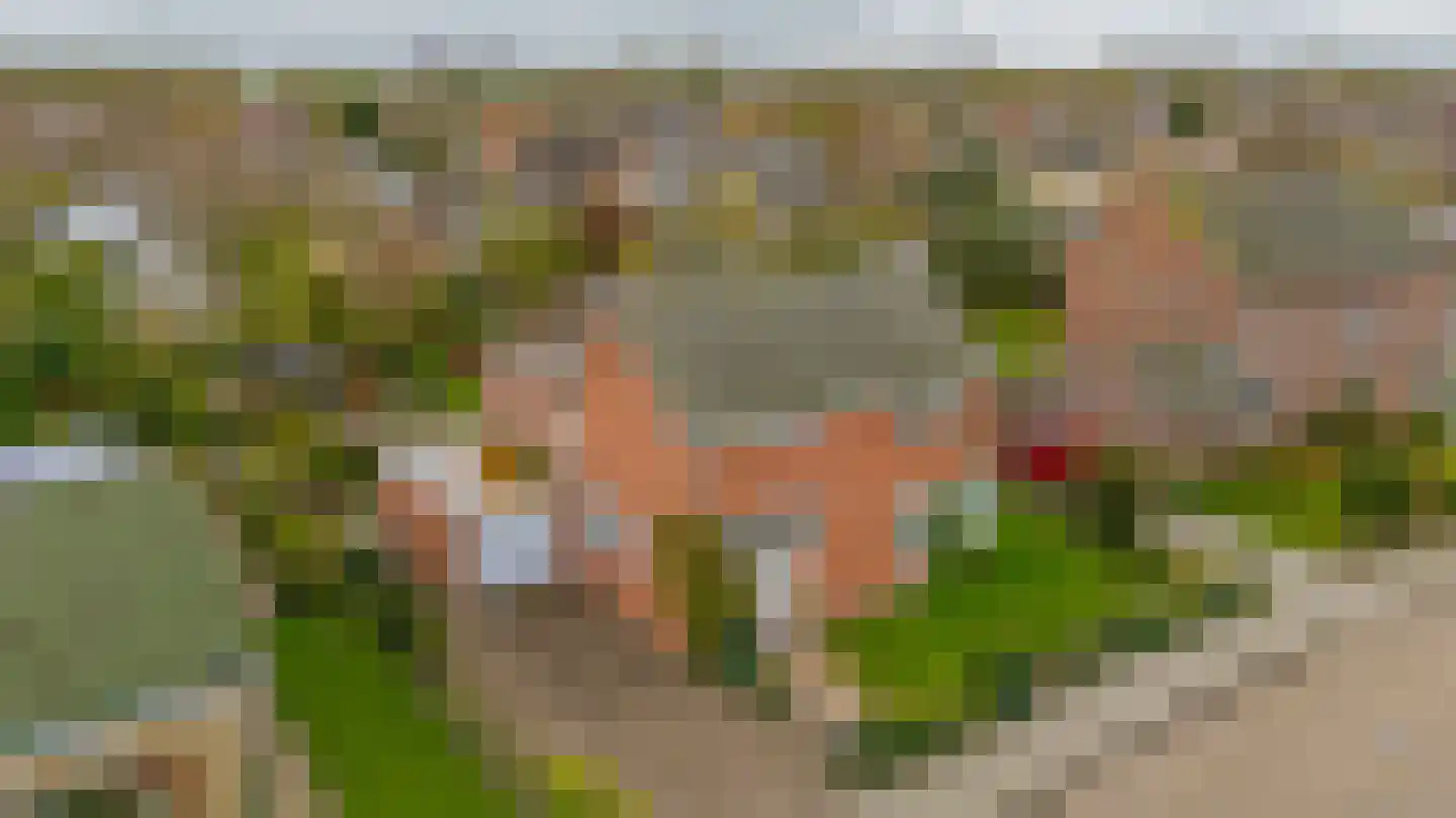 Deltastraat 4 Scharendijke thumbnail 49