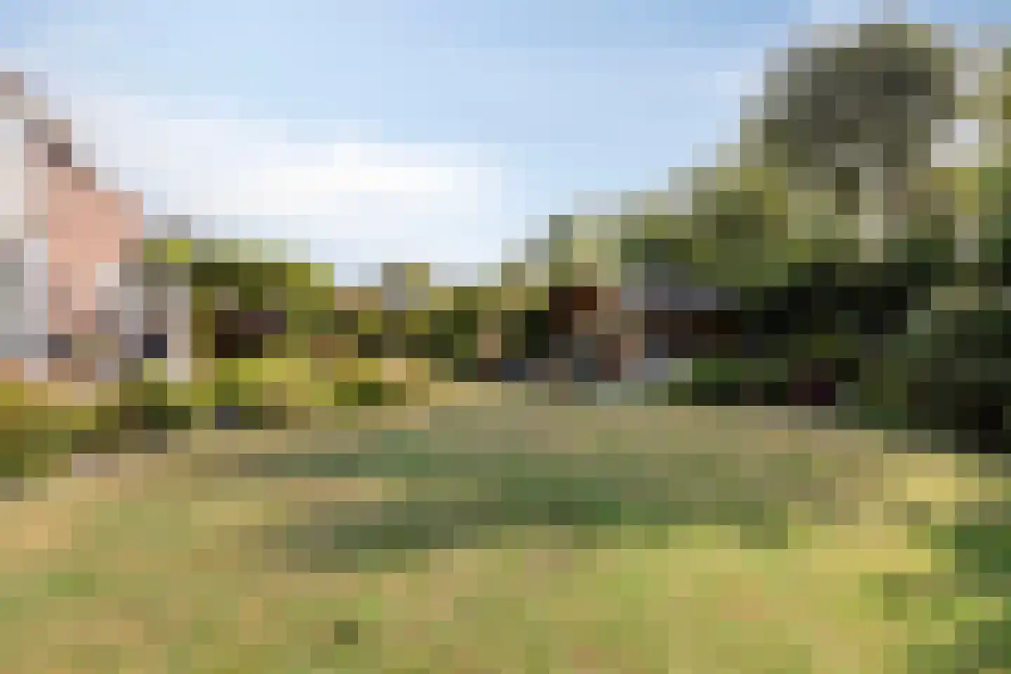 Deltastraat 4 Scharendijke thumbnail 5