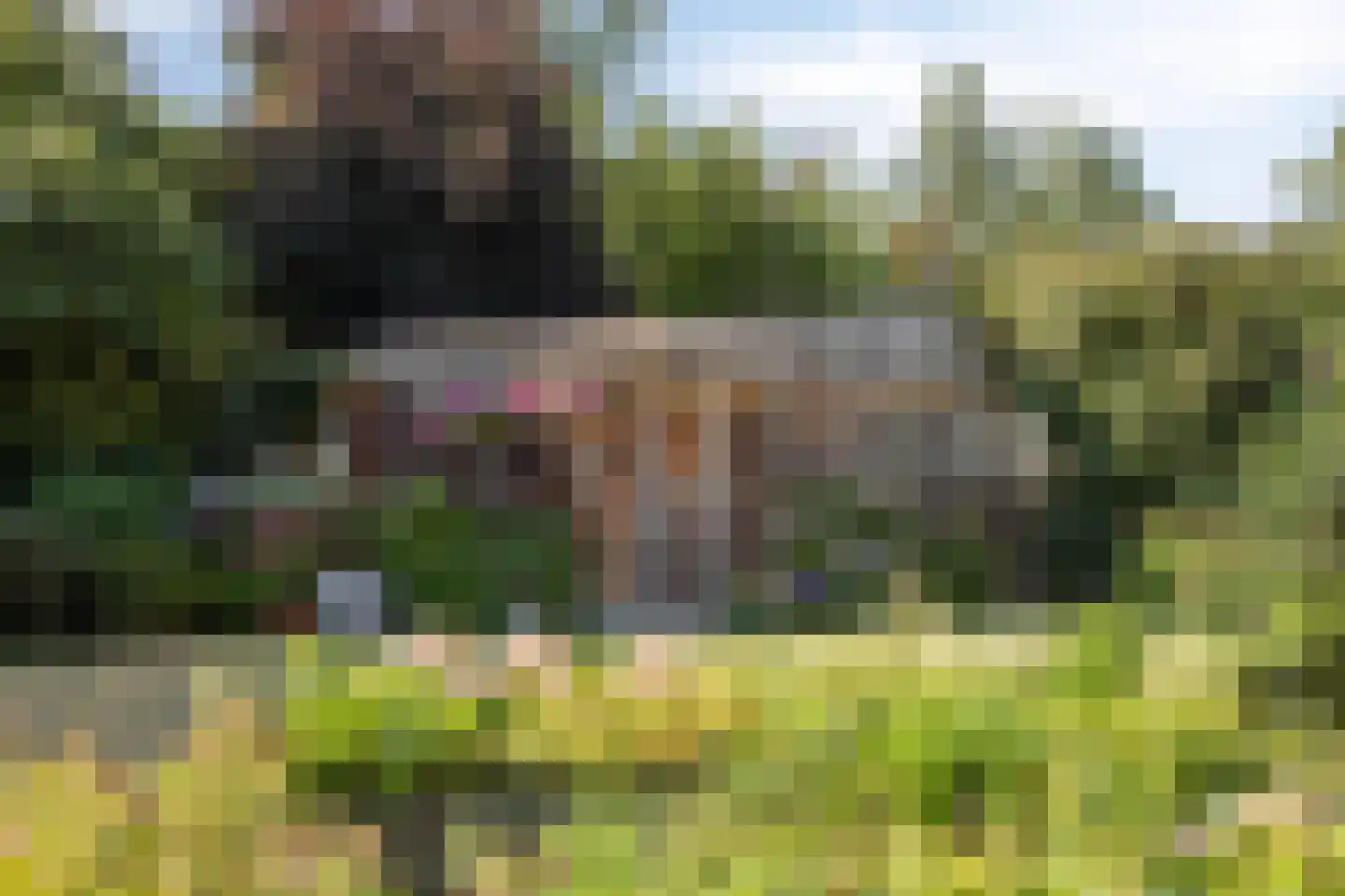 Deltastraat 4 Scharendijke thumbnail 50
