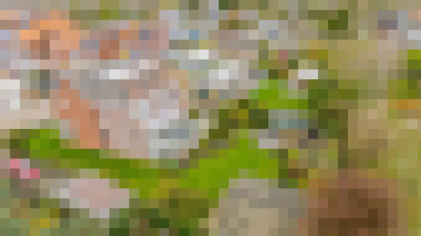 Deltastraat 4 Scharendijke thumbnail 54