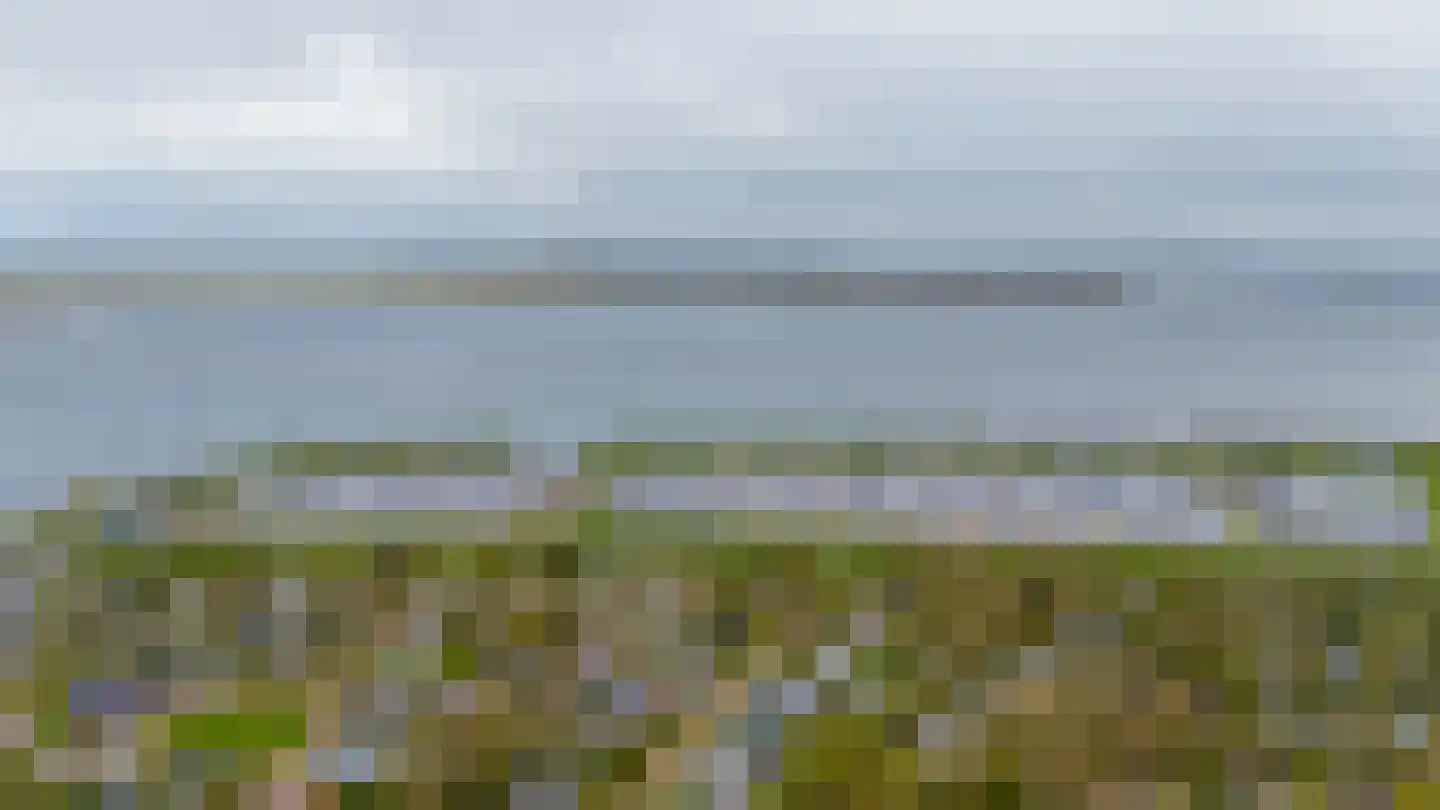 Deltastraat 4 Scharendijke thumbnail 58