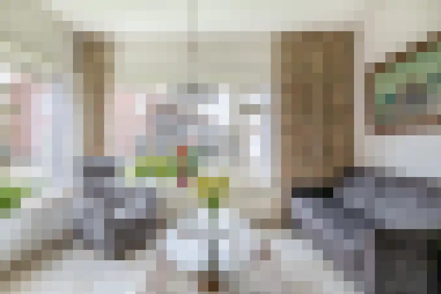 Deltastraat 4 Scharendijke thumbnail 7
