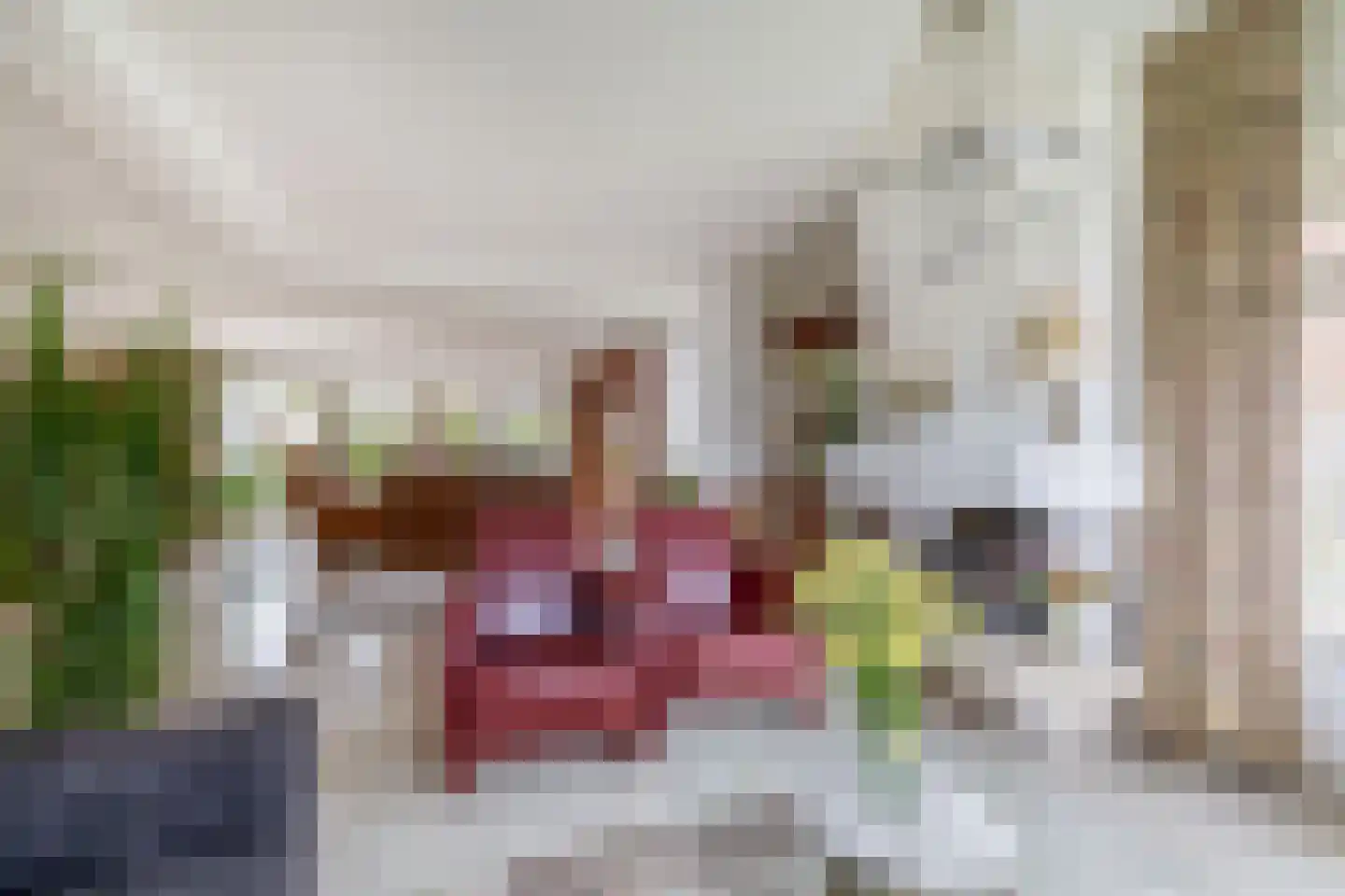 Deltastraat 4 Scharendijke thumbnail 8