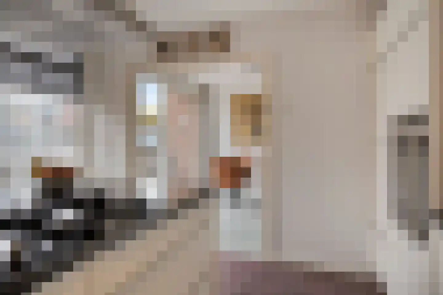 Deltastraat 5 Kattendijke thumbnail 15
