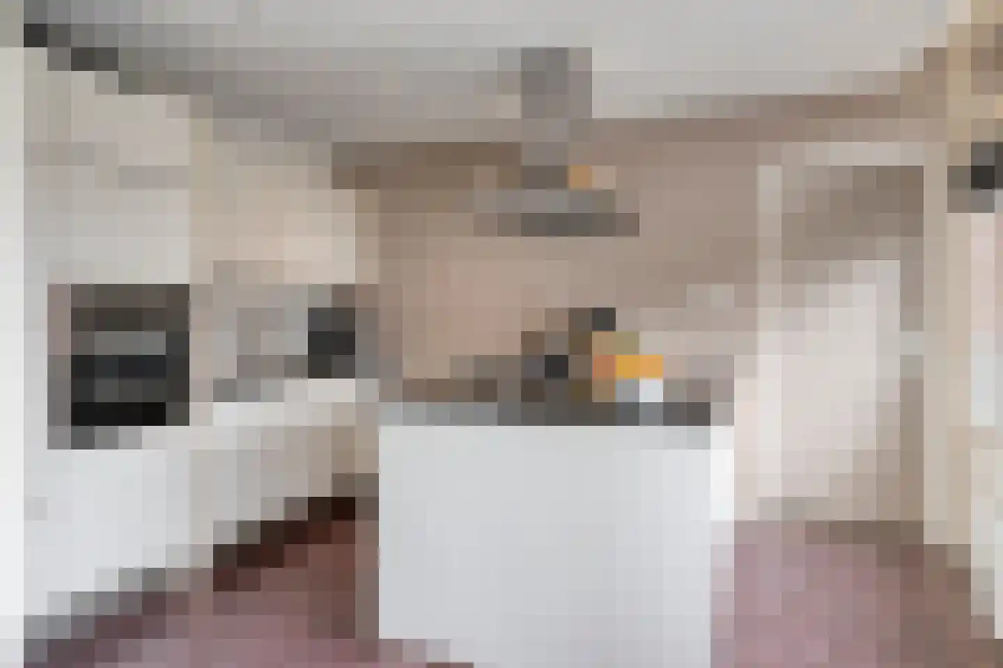 Deltastraat 5 Kattendijke thumbnail 17