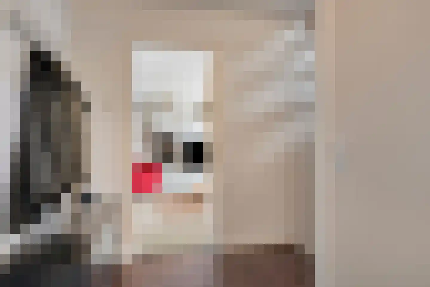 Deltastraat 5 Kattendijke thumbnail 20