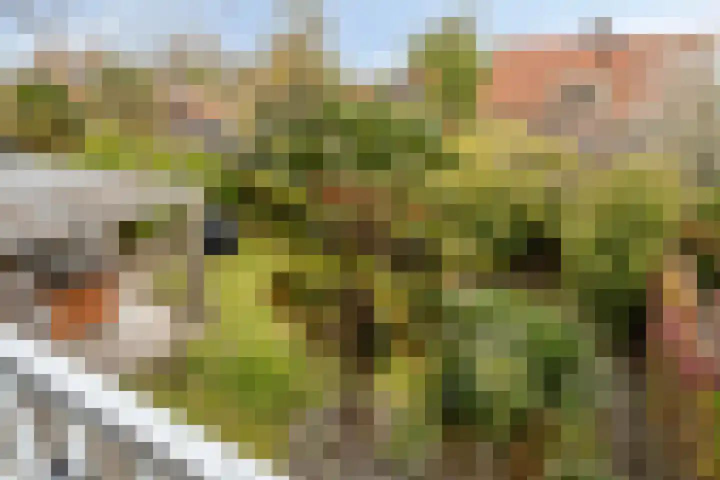 Deltastraat 5 Kattendijke thumbnail 27