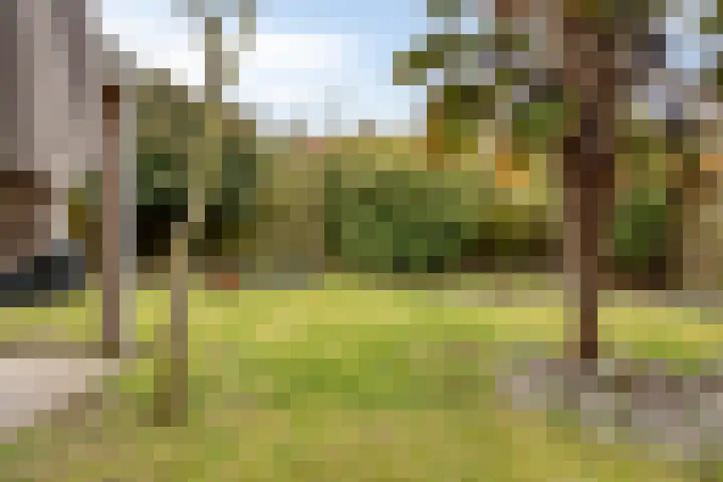 Deltastraat 5 Kattendijke thumbnail 4