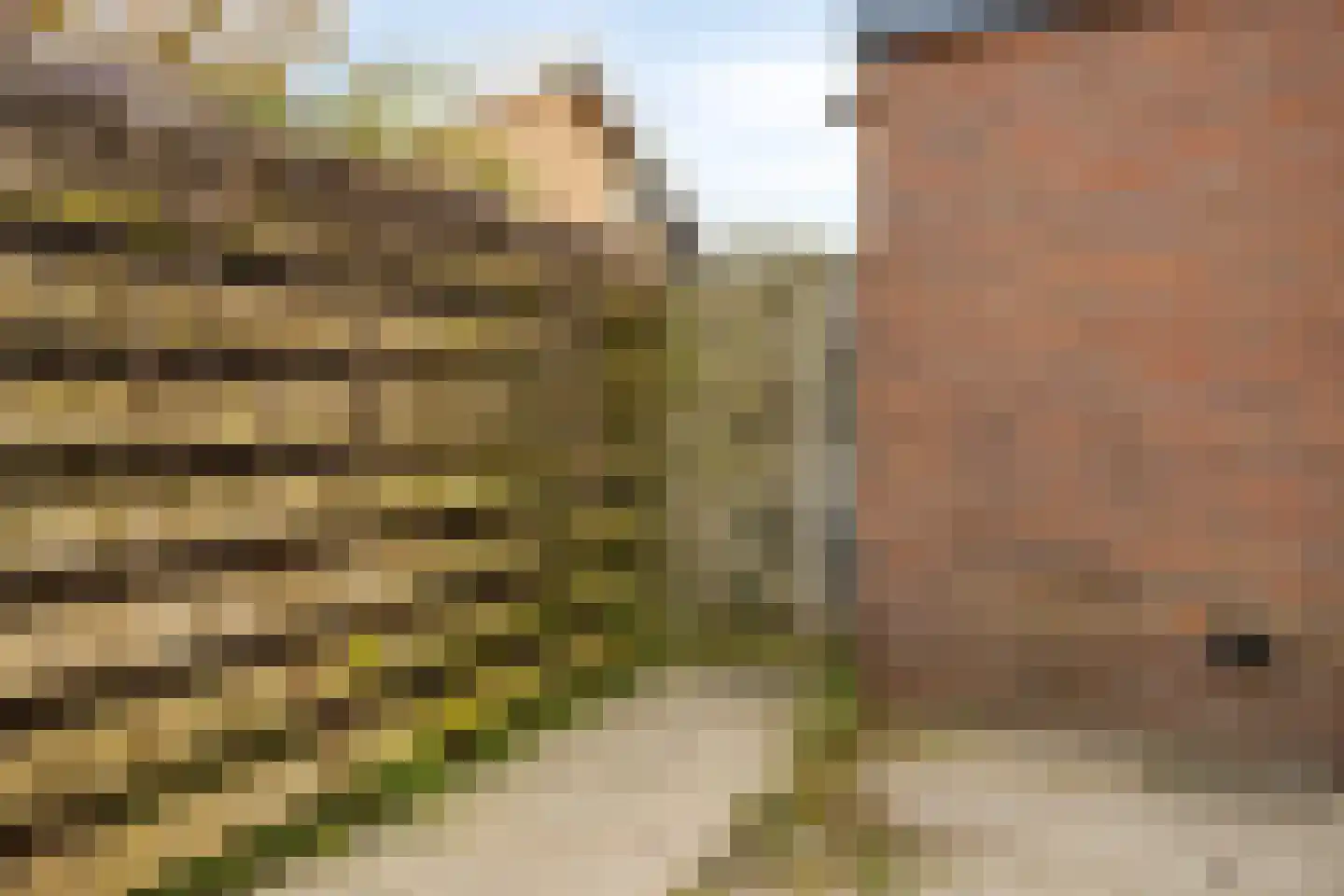 Deltastraat 5 Kattendijke thumbnail 40