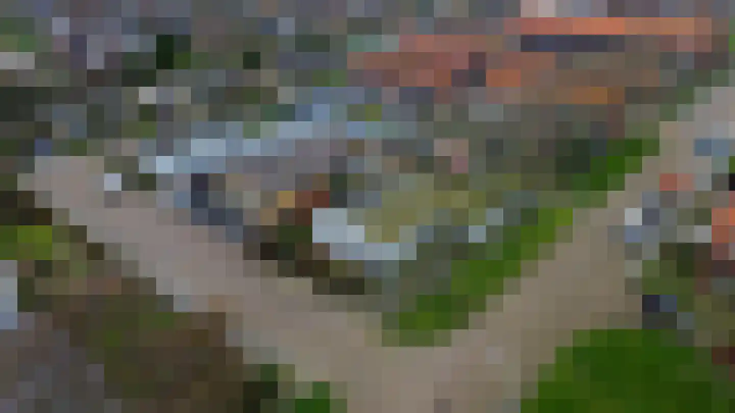 Deltastraat 5 Scharendijke thumbnail 33