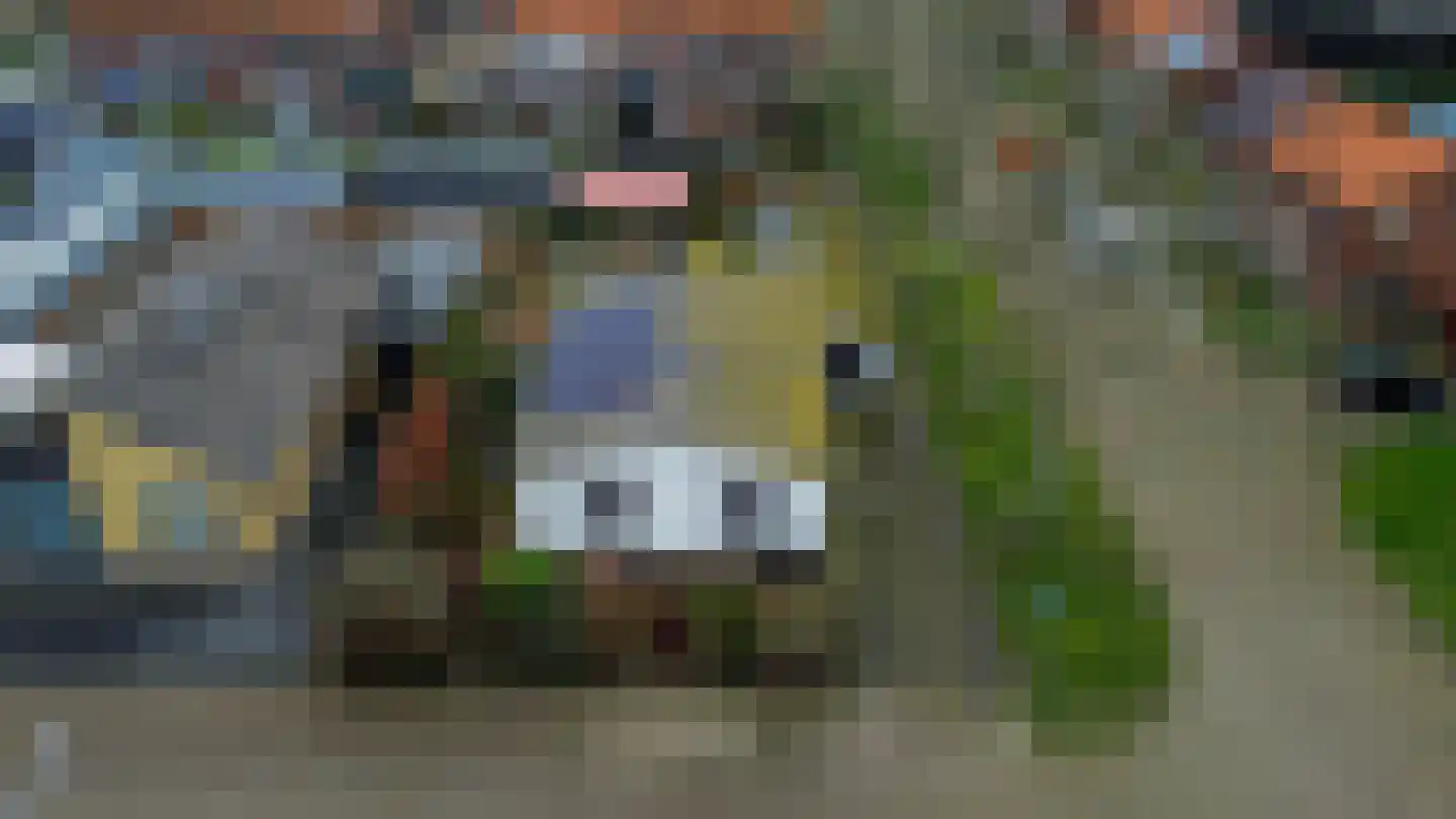 Deltastraat 5 Scharendijke thumbnail 34
