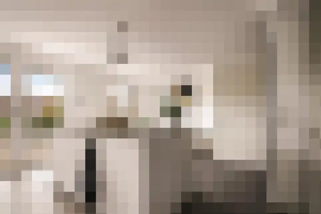 Deltaweg 63 Hoofddorp thumbnail 10