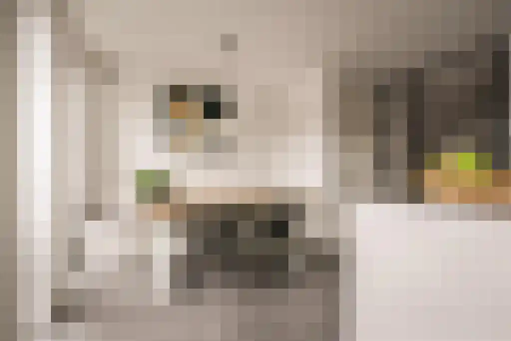 Deltaweg 63 Hoofddorp thumbnail 13