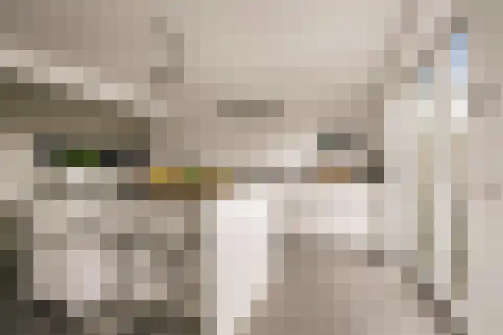 Deltaweg 63 Hoofddorp thumbnail 14
