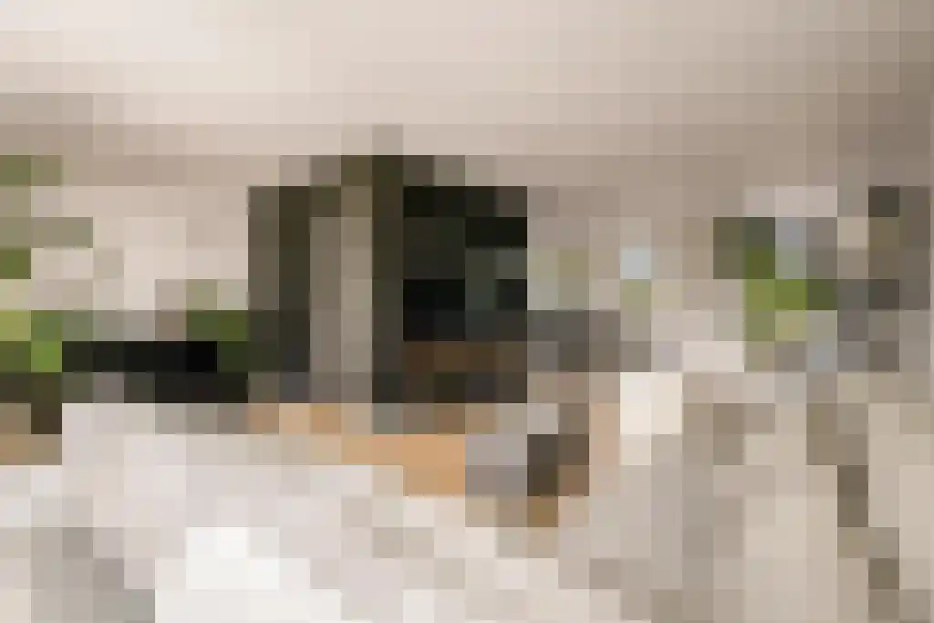 Deltaweg 63 Hoofddorp thumbnail 29